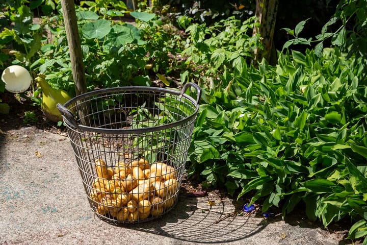 Photo 79 of Pasweg 1