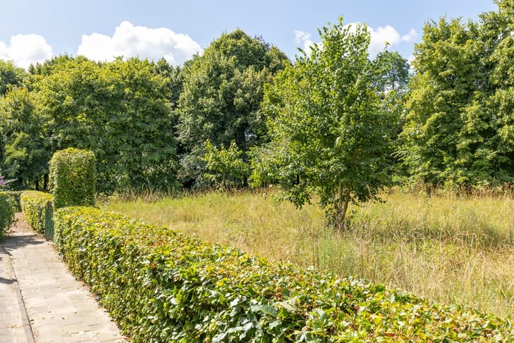 Photo 84 of Pasweg 1