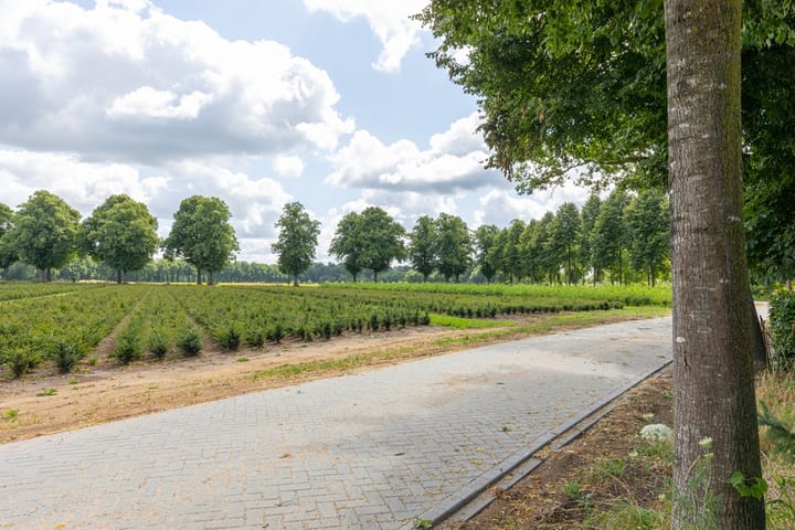 Photo 85 of Pasweg 1