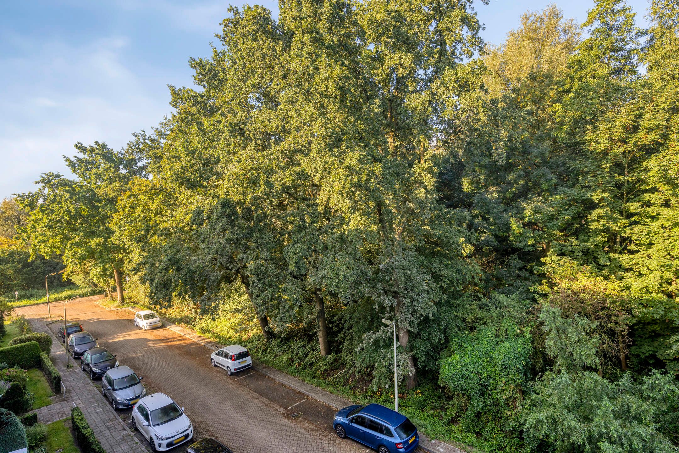 Foto 9 van Johan Wagenaarstraat 16-D