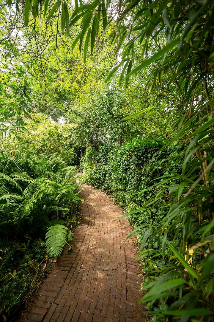 Photo 58 of van Beverninghlaan 36