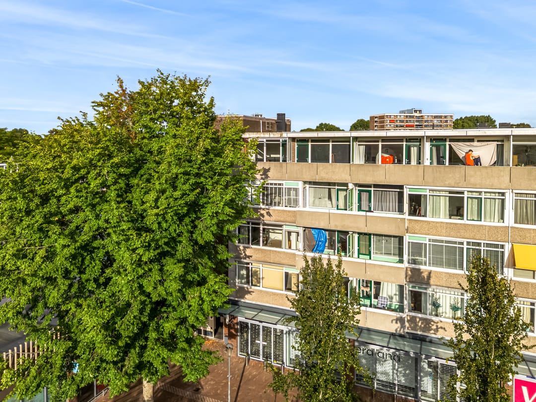 Photo 23 of Van Ostadelaan 460