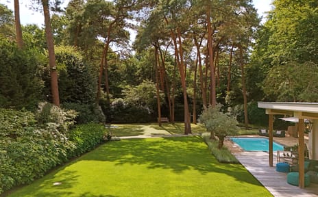 Dennenlaan 12 tertiary image