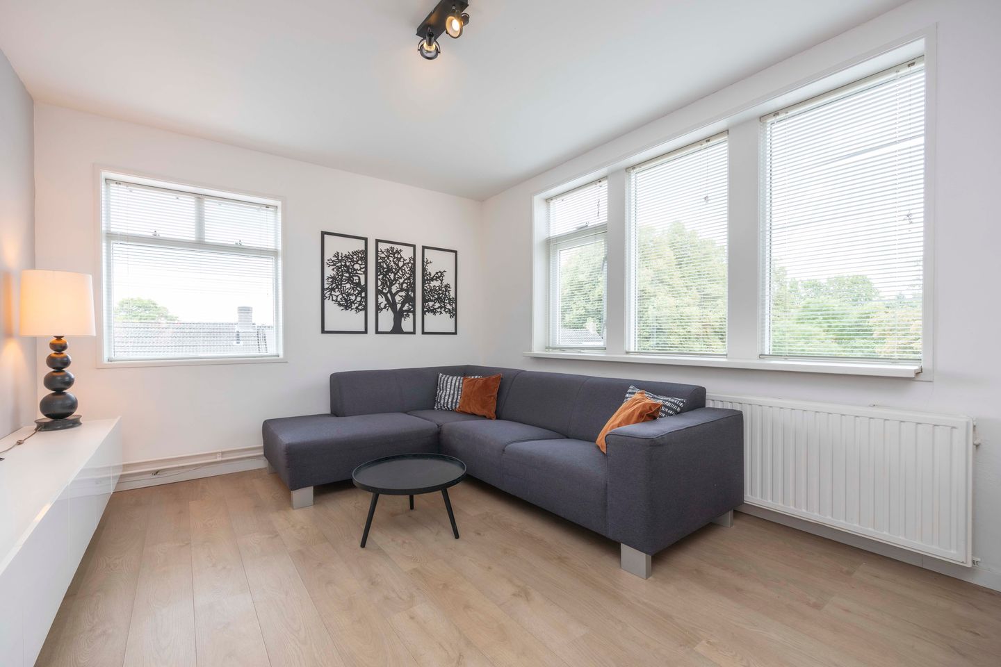 Foto 5 van Nassaustraat 91