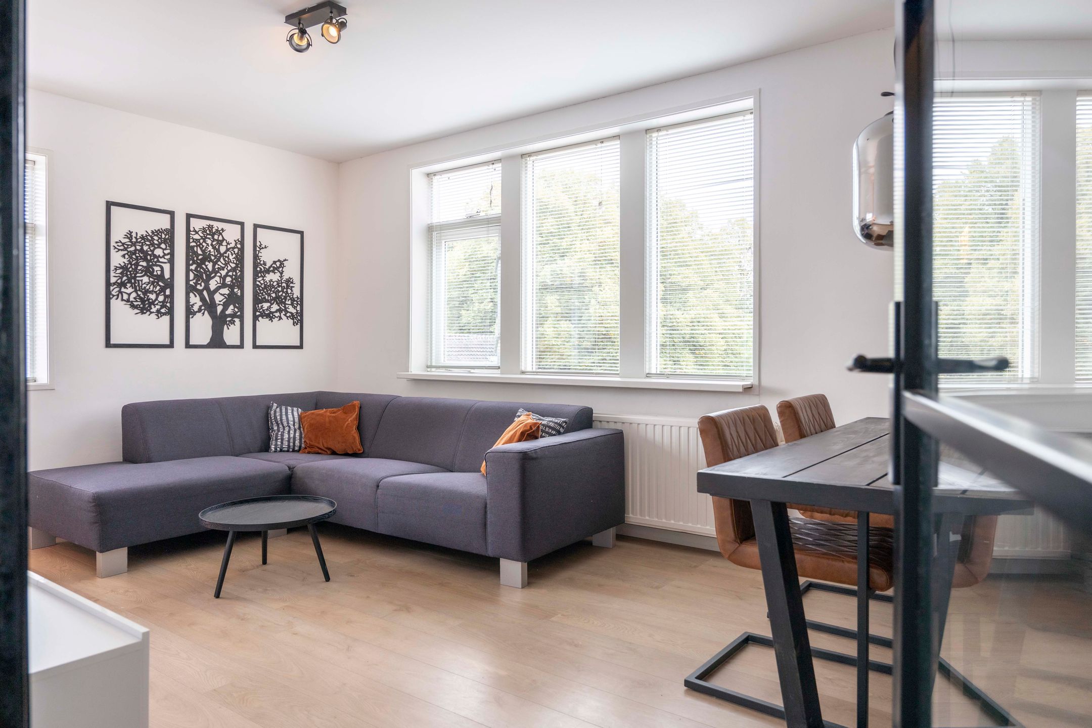 Foto 9 van Nassaustraat 91