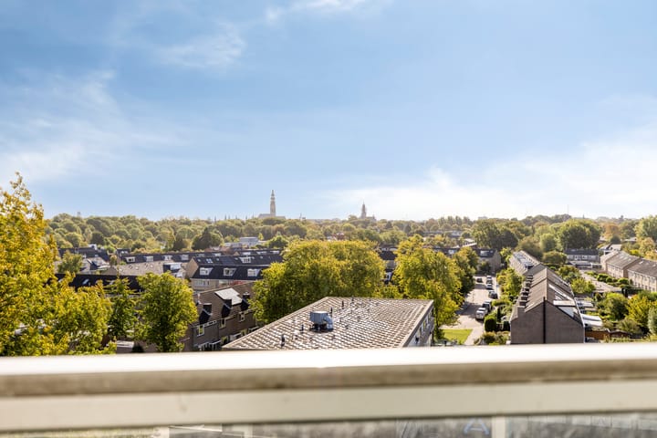 Foto 33 van Mazzinilaan 51