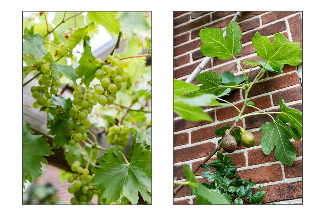 Foto 8 van Constantijn Huygenslaan 20