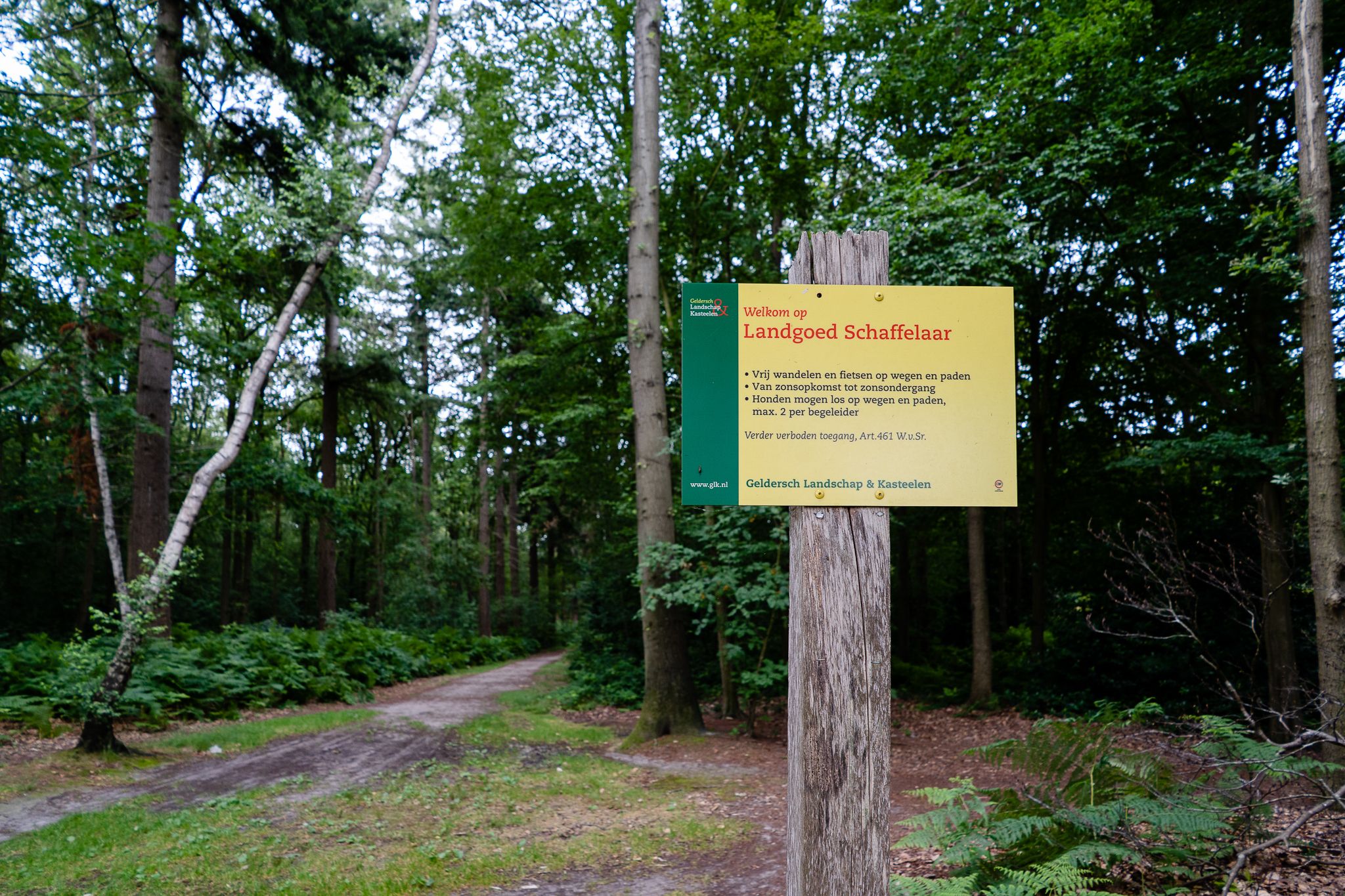 Foto 45 van Ds. Van de Woestijnehof 4