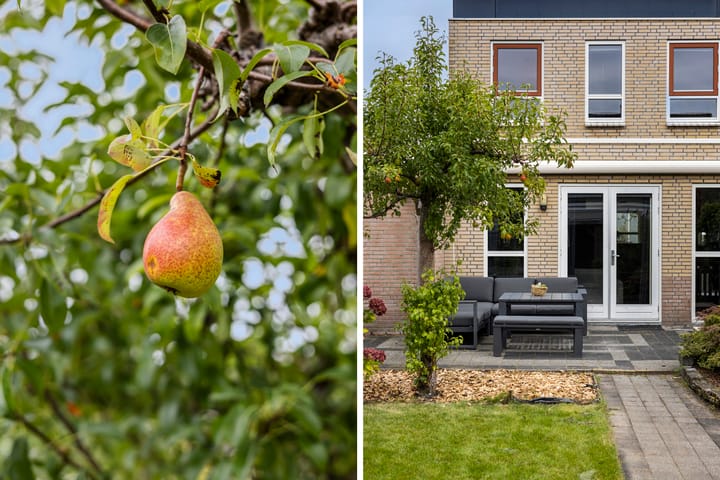 Foto 22 van De Gronzen 8