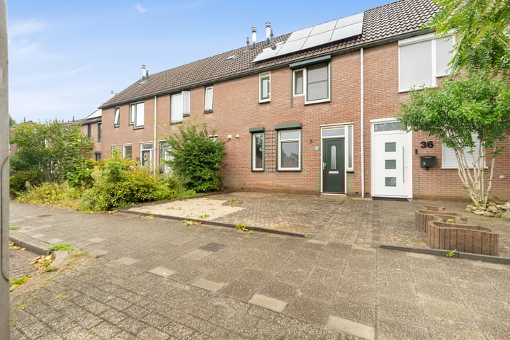 Foto 6 van Zeven Bosjes 34