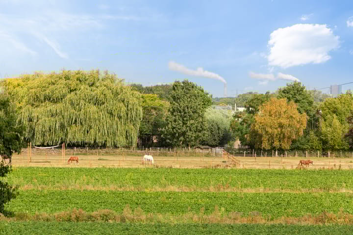 Foto 15 van Morgen 2