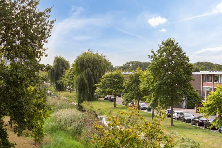 Foto 16 van Morgen 2