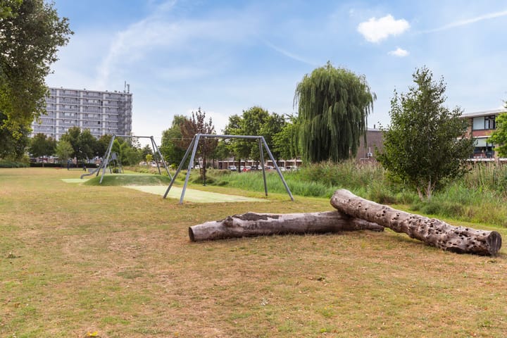 Foto 42 van Morgen 2