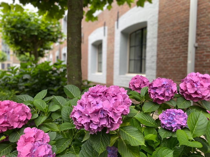 Foto 29 van Weversplaats 53