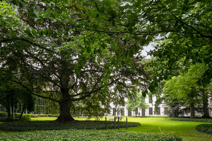 Foto 36 van Weversplaats 53