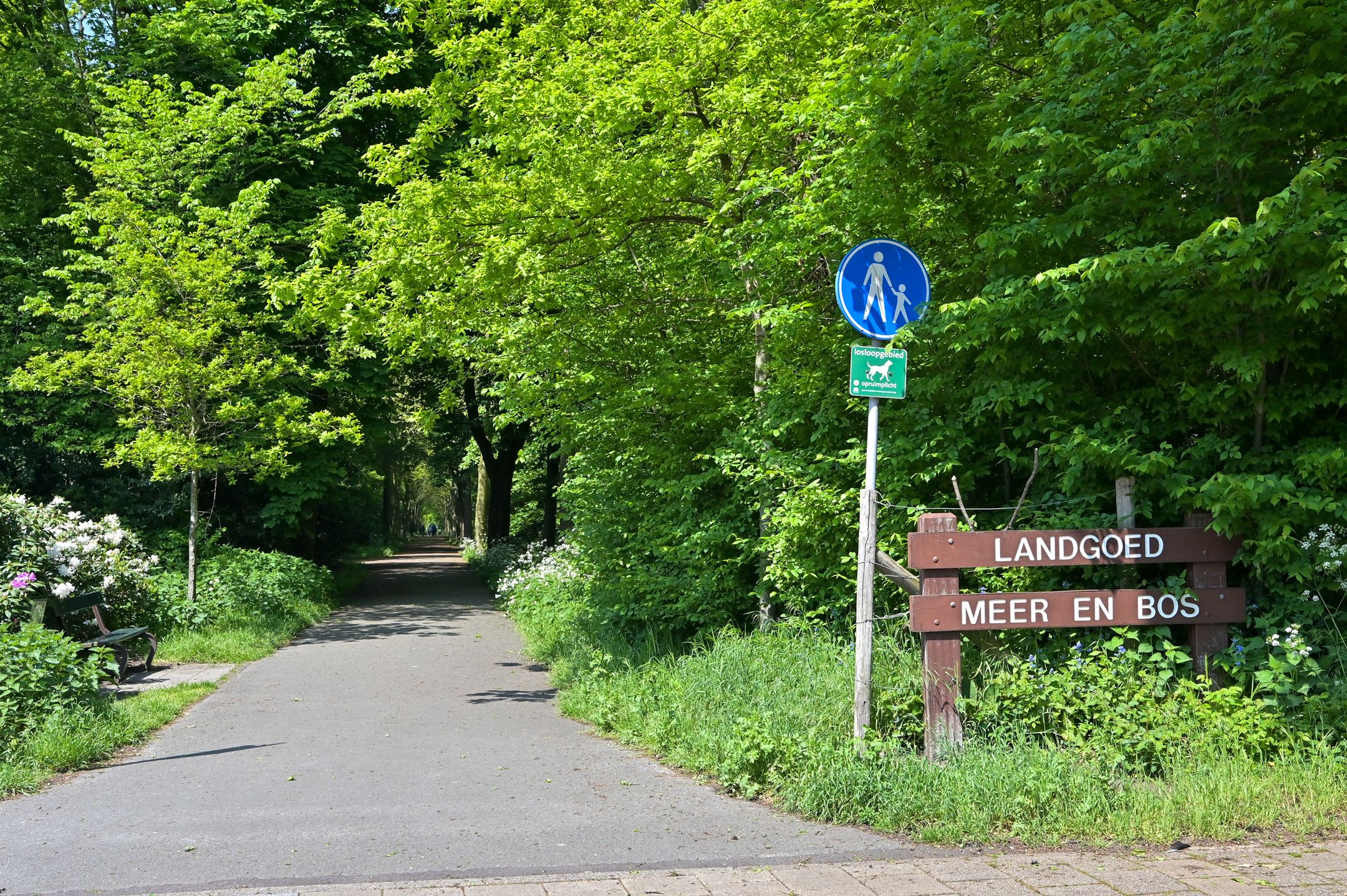 Foto 51 van Catharina van Rennesstraat 192