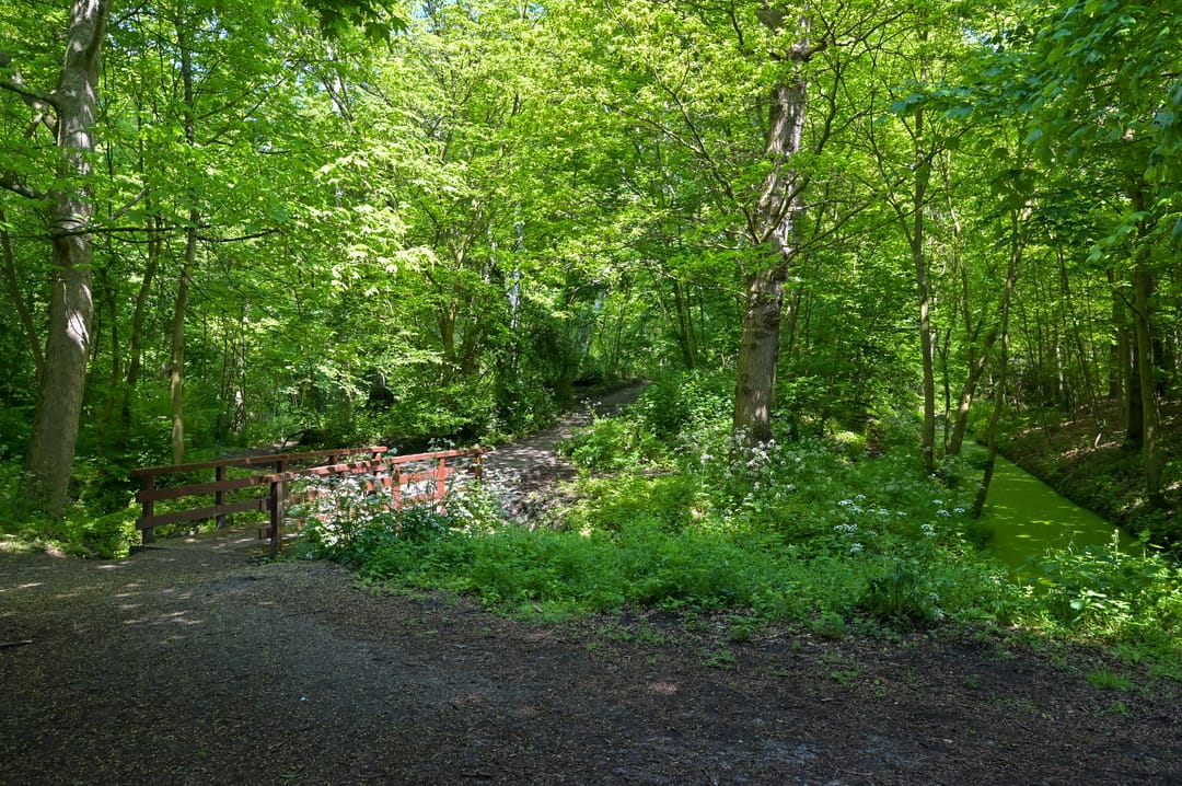 Foto 52 van Catharina van Rennesstraat 192