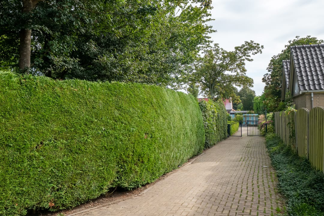 Foto 62 van Burgemeester Hoogenboomlaan 11