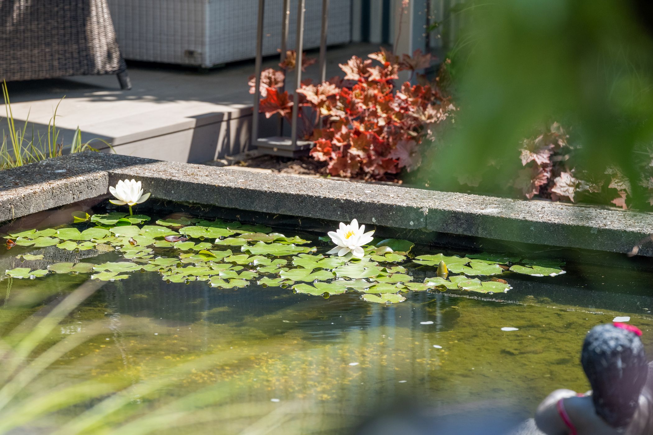 Foto 12 van Grootzeil 3