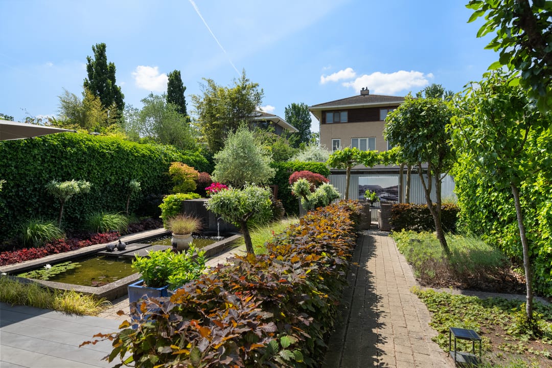 Foto 17 van Grootzeil 3