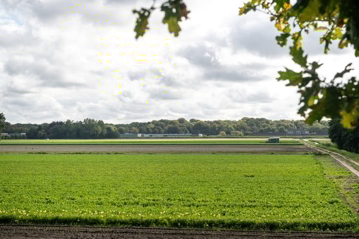 Photo 19 of Vogelenzangseweg 45