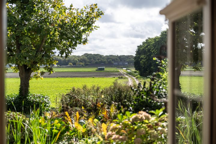 Photo 20 of Vogelenzangseweg 45