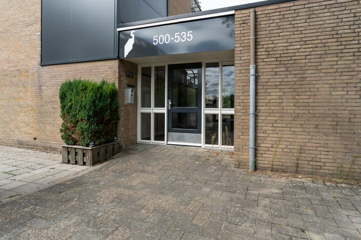 Foto 5 van Reigerskamp 508