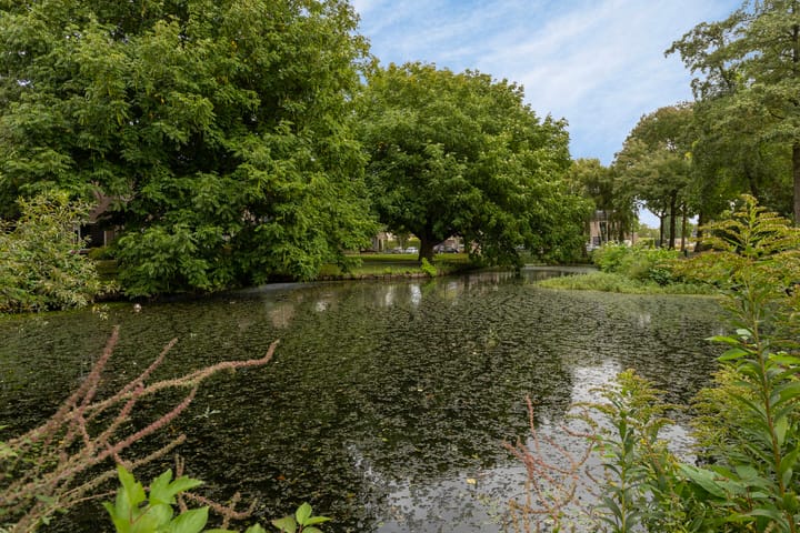 Foto 38 van Distellaar 3