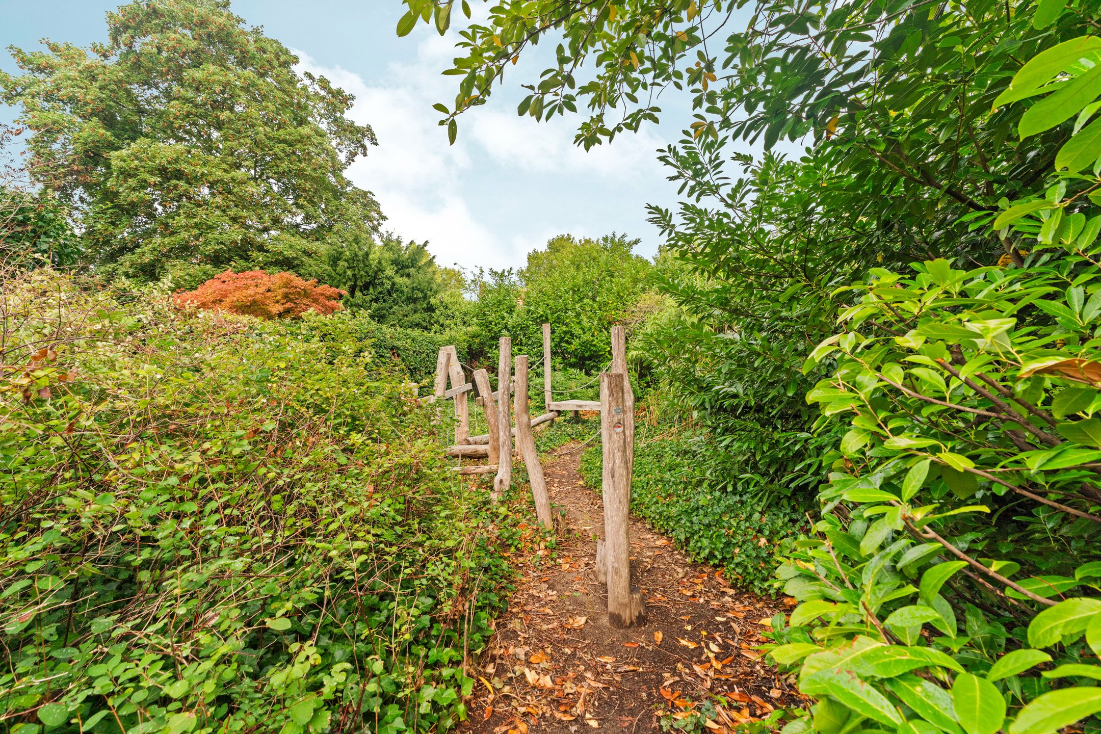 Photo 3 of Fretstraat 3