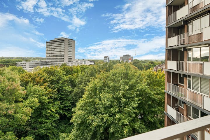 Foto 20 van Drieoortsput 53