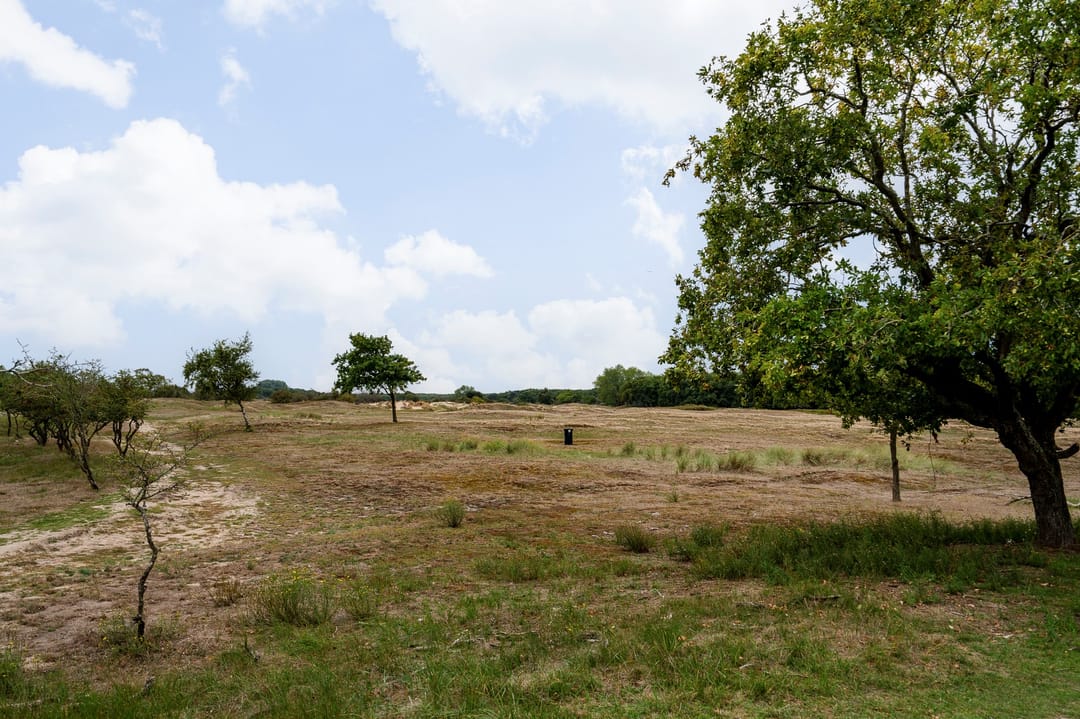 Foto 38 van Goudenregenstraat 2