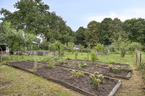 Ruurloseweg 78 tertiary image