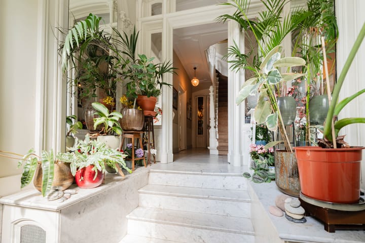 Foto 6 van Vondelstraat 150