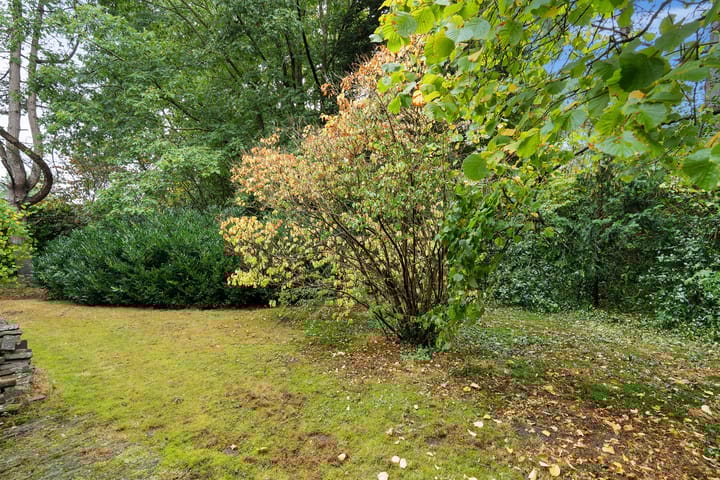 Foto 4 van Witte Zand 19-A