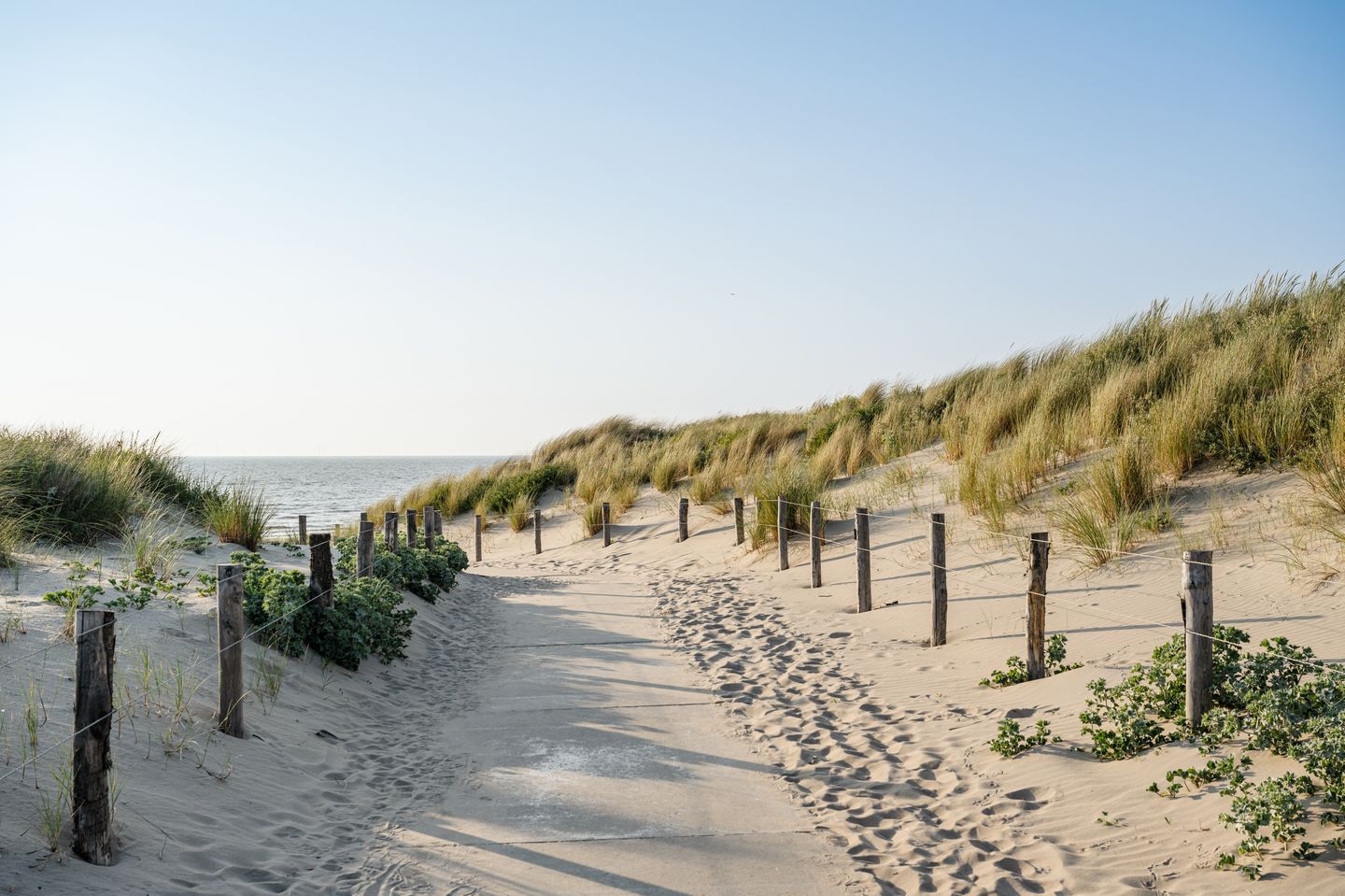 Foto 5 van Marea Noordwijk - koopappartementen