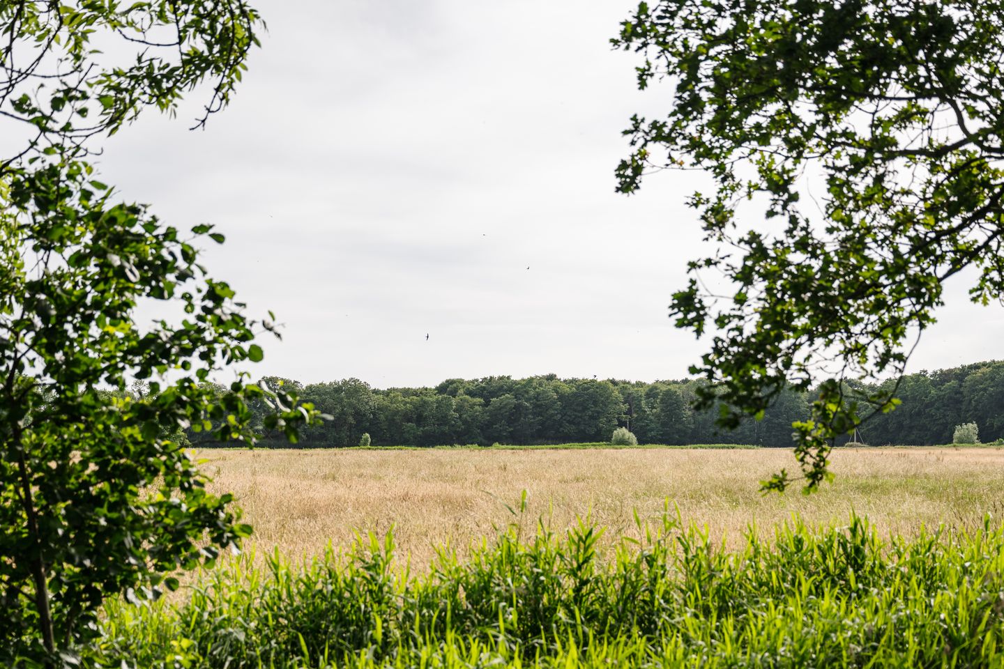 Foto 10 van Marea Noordwijk - koopappartementen