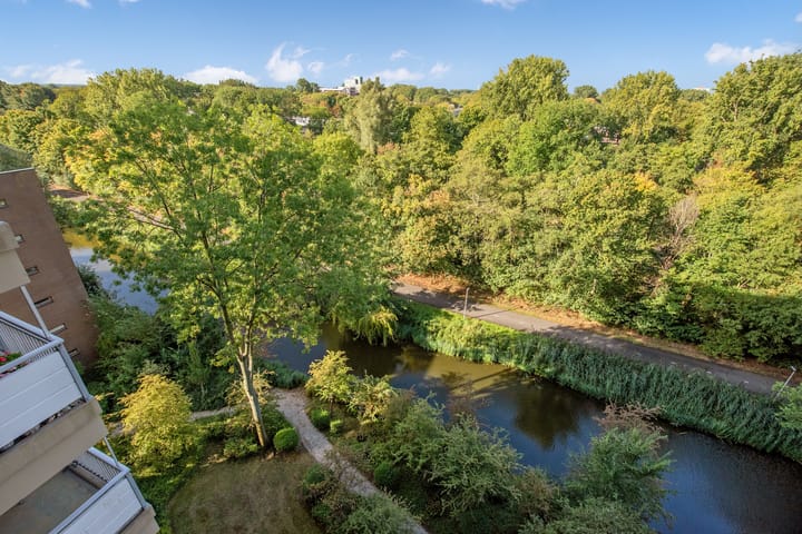 Foto 23 van Aart van der Leeuwlaan 142