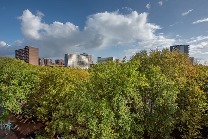 Foto 34 van Aart van der Leeuwlaan 142