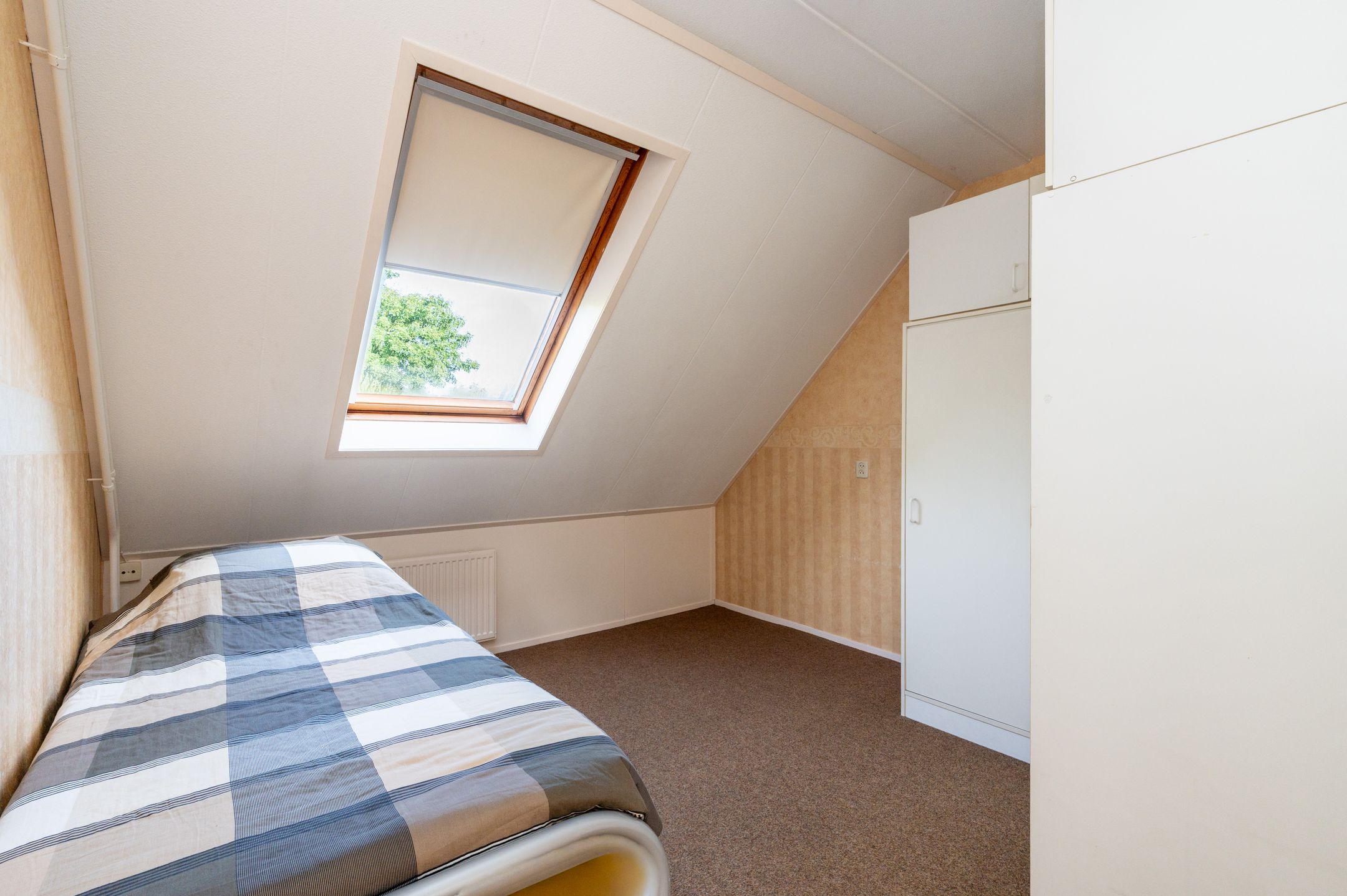 Foto 15 van Helmbloem 12