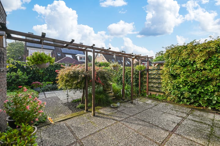 Foto 19 van Helmbloem 12