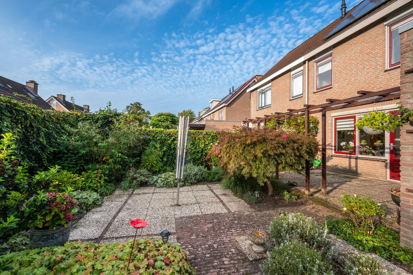 Foto 20 van Helmbloem 12