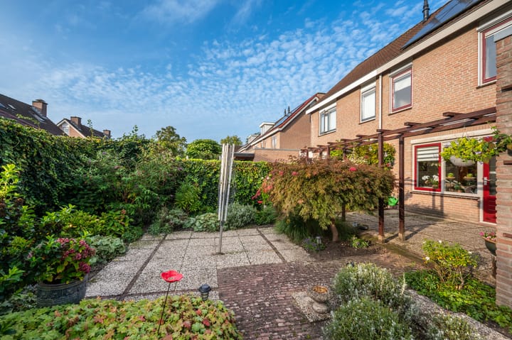 Foto 20 van Helmbloem 12