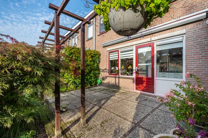 Foto 22 van Helmbloem 12