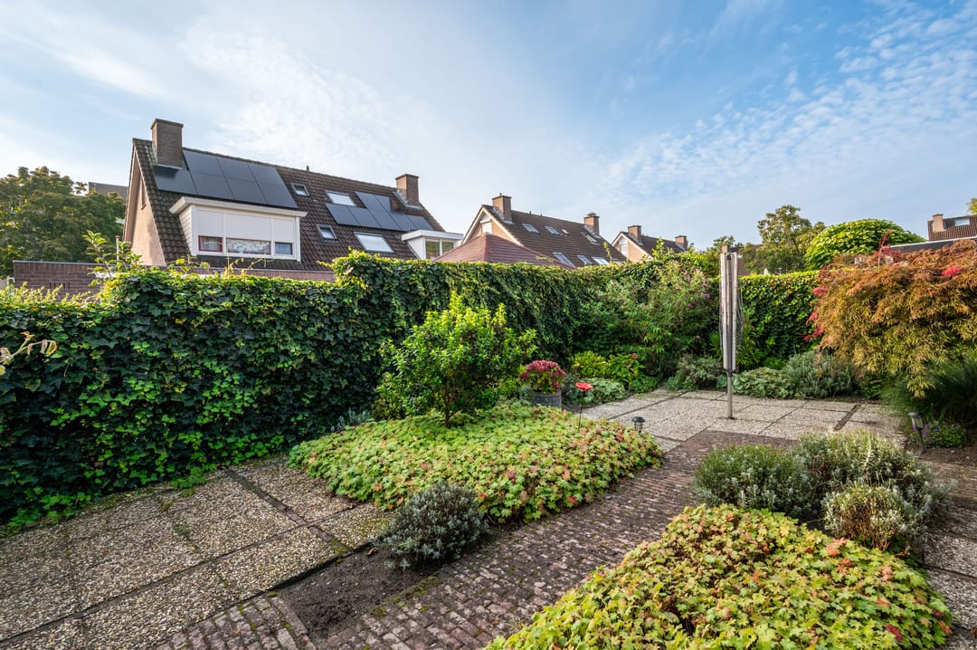 Foto 23 van Helmbloem 12