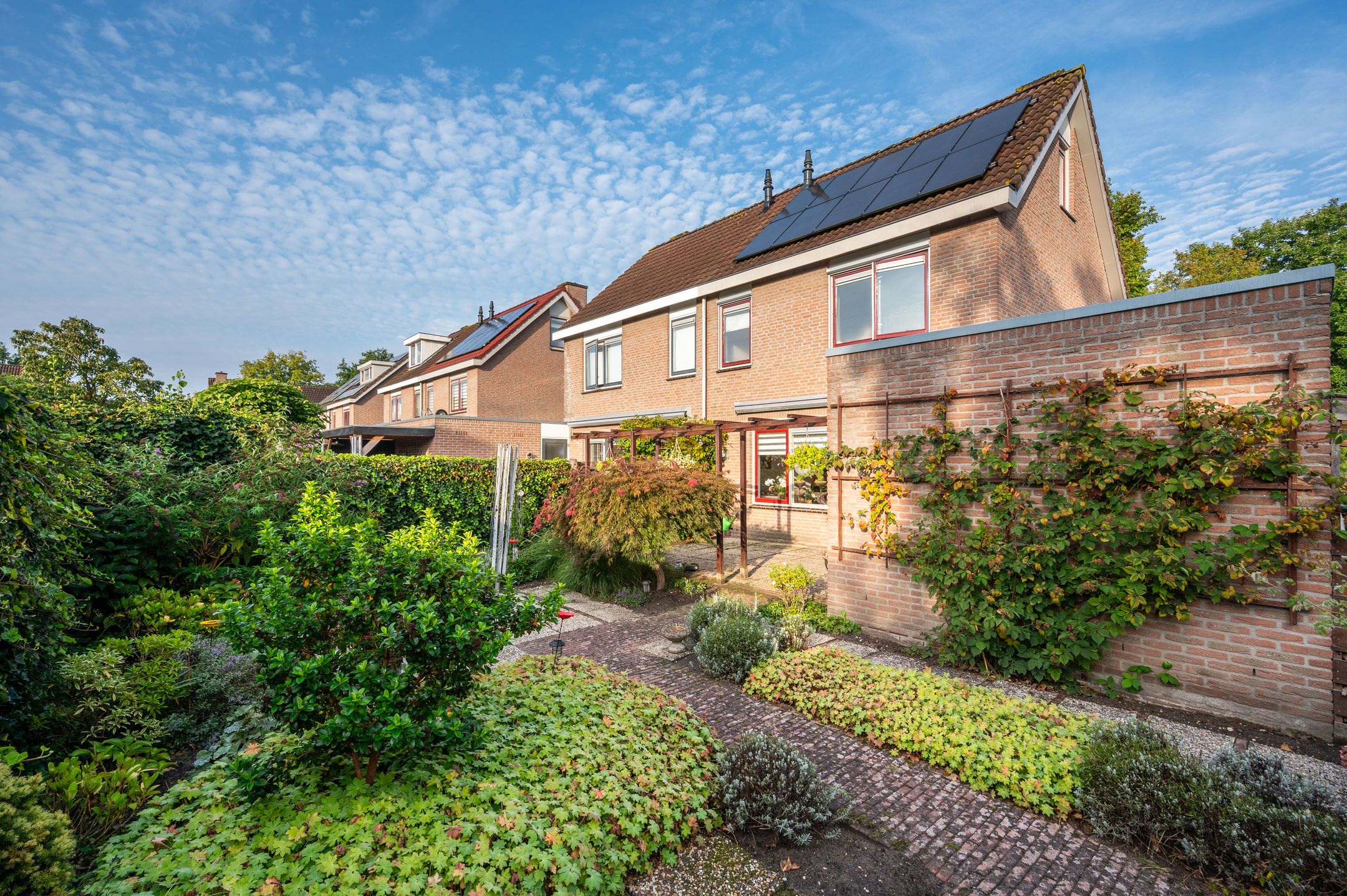 Foto 24 van Helmbloem 12