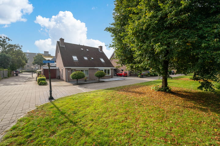 Foto 29 van Helmbloem 12