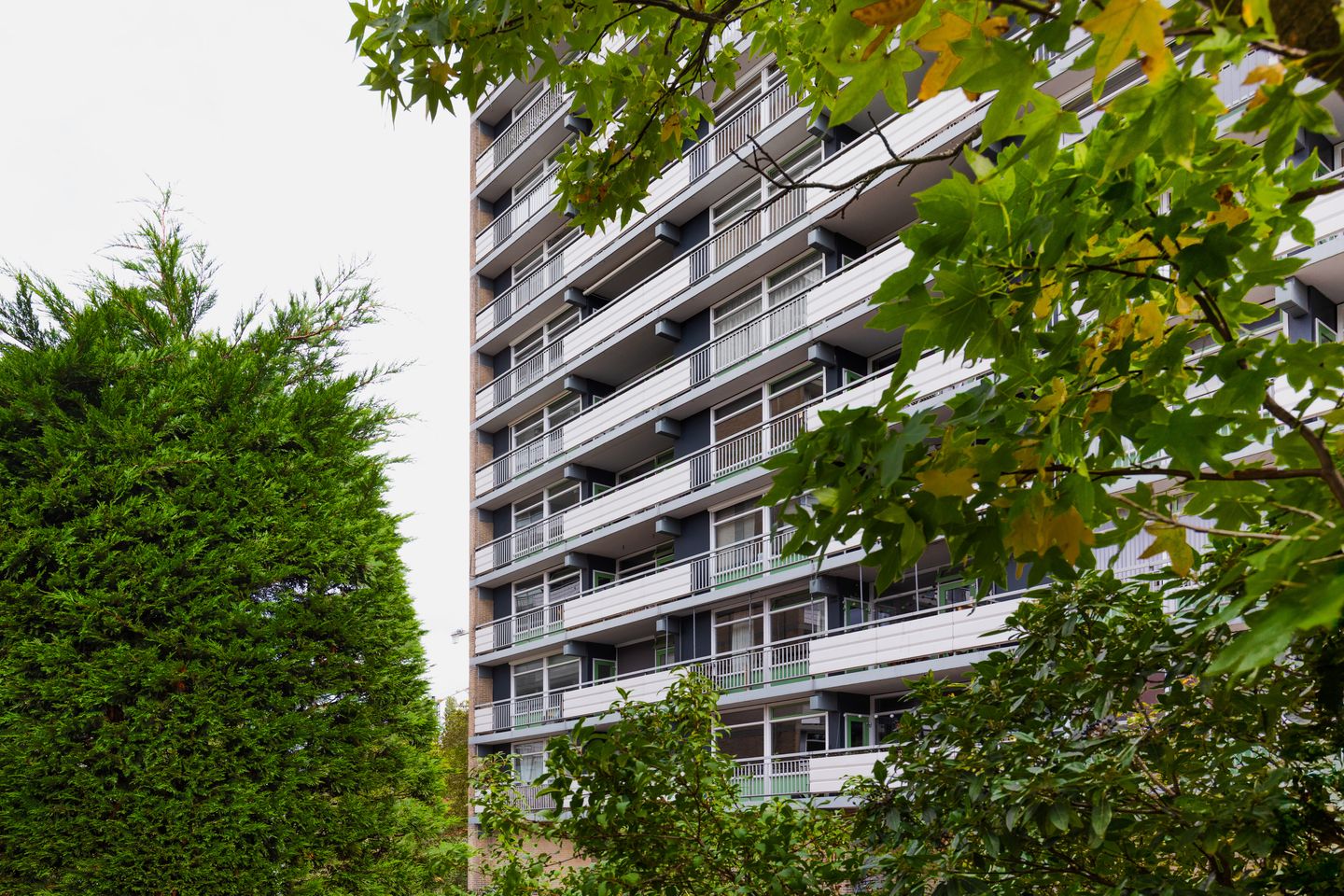 Foto 20 van Waddenstraat 589