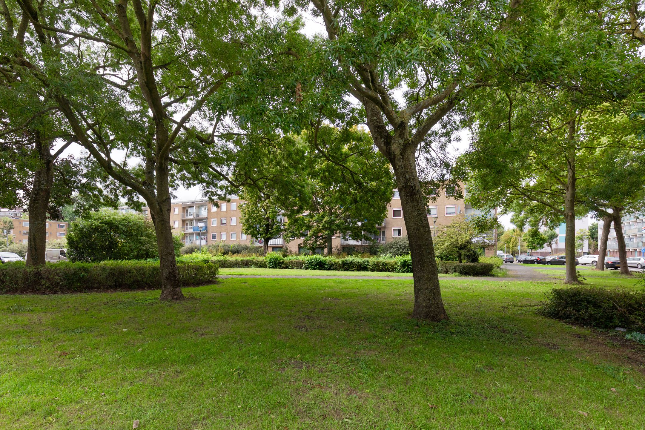 Foto 24 van Waddenstraat 589