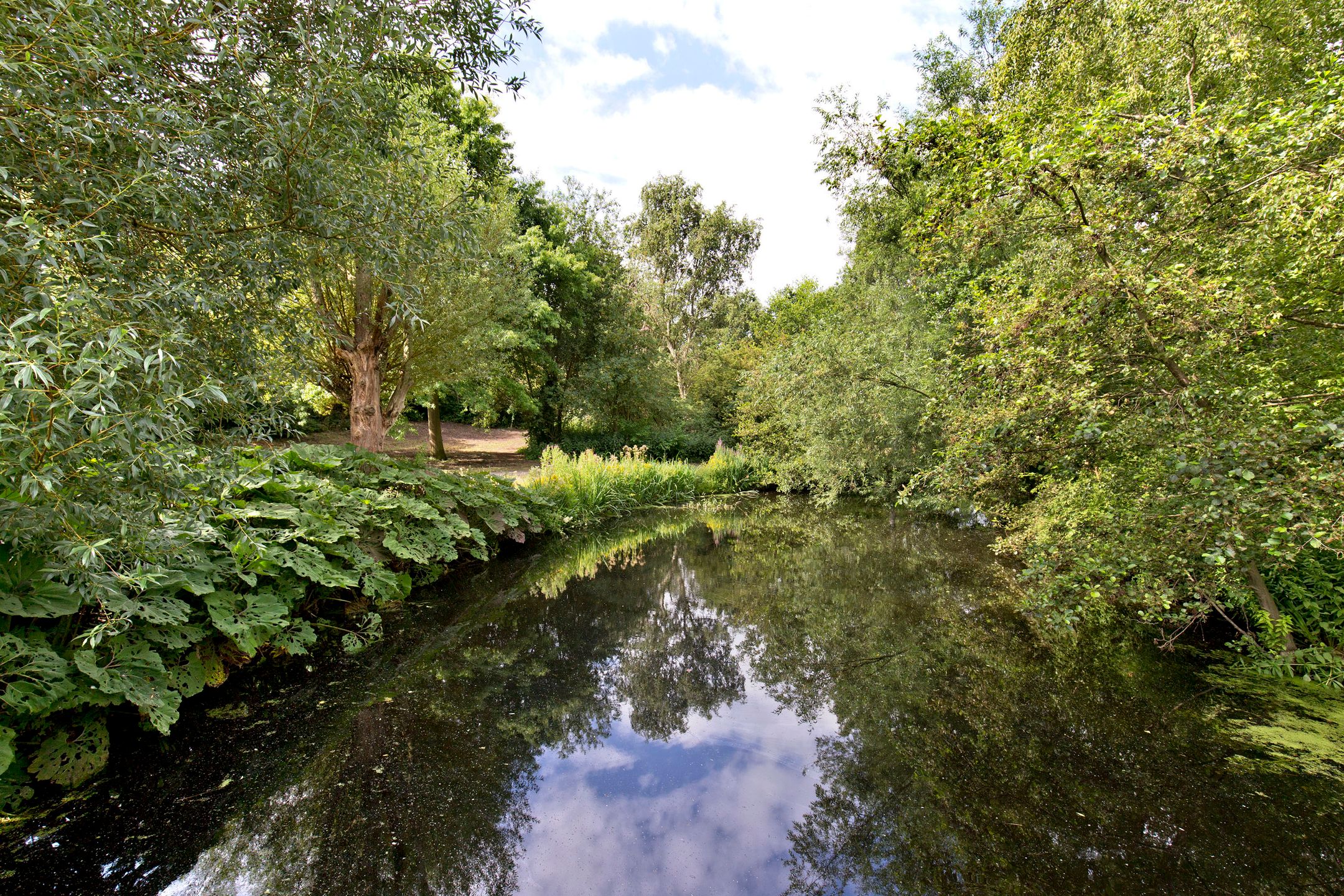 Foto 27 van Waddenstraat 589