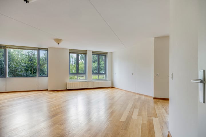 Foto 4 van Waterjuffermeent 2